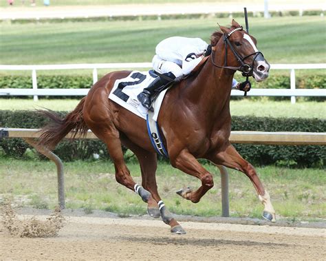 mountaineer results|mountaineer results horse racing.
